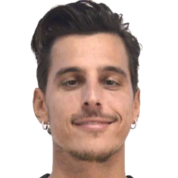 Mirza Alibegovic